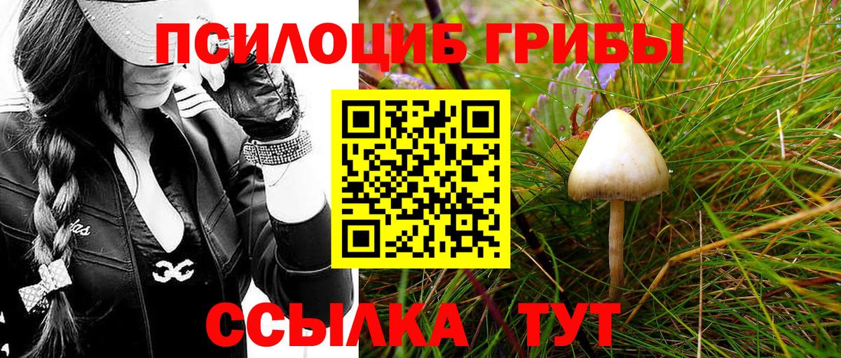 Псилоцибиновые грибы ЛСД Ростов Великий