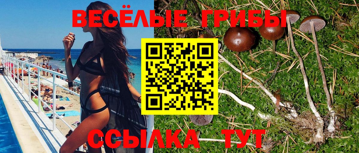 Галлюциногенные грибы прущие грибы  Вход с VPN  наркотики  Ростов Великий 